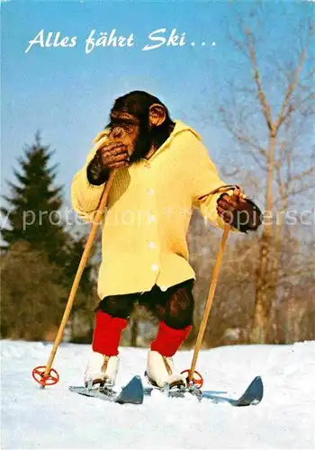 AK / Ansichtskarte Affen Charlie Skifahren Ski  Kat. Tiere