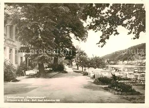 AK / Ansichtskarte Krippen Bad Schandau Landgasthaus Ziegelscheune  Kat. Bad Schandau