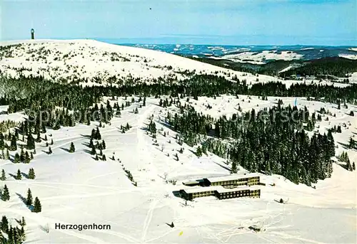 AK / Ansichtskarte Herzogenhorn Wintersportplatz Fliegeraufnahme Kat. Feldberg (Schwarzwald)