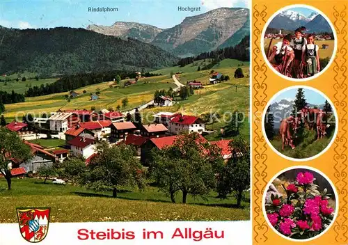 AK / Ansichtskarte Steibis Panorama Kat. Oberstaufen