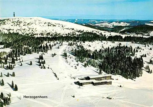 AK / Ansichtskarte Herzogenhorn Fliegeraufnahme Kat. Feldberg (Schwarzwald)