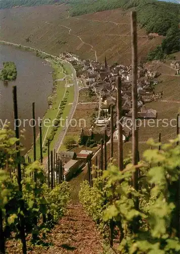 AK / Ansichtskarte uerzig Panorama  Kat. uerzig