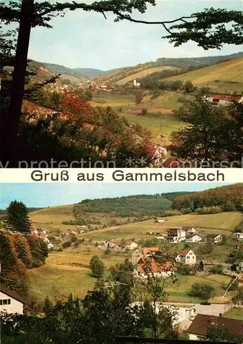AK / Ansichtskarte Gammelsbach Panorama  Kat. Beerfelden