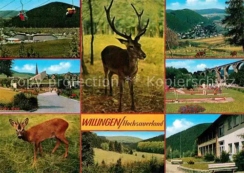 AK / Ansichtskarte Willingen Sauerland Viadukt Minigolf Tierpark Sportanlagen Kat. Willingen (Upland)