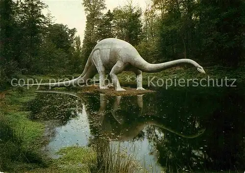 AK / Ansichtskarte Dinosaurier Diplodocus Saurierpark Kleinwelka  Kat. Tiere