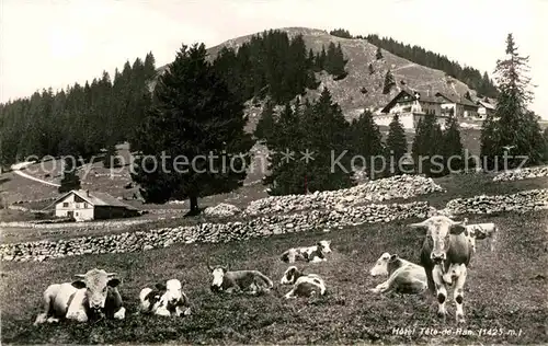 AK / Ansichtskarte Tete de Ran Hotel Tete de Ran Viehweide Kat. Tete de Ran