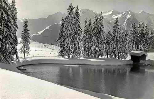 AK / Ansichtskarte Hasliberg Bidmi Kat. Meiringen