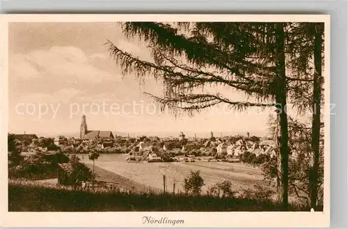 AK / Ansichtskarte Noerdlingen Panorama Kat. Noerdlingen