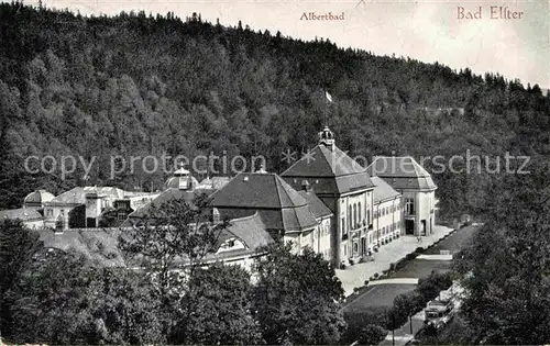 AK / Ansichtskarte Bad Elster Albertbad Kat. Bad Elster