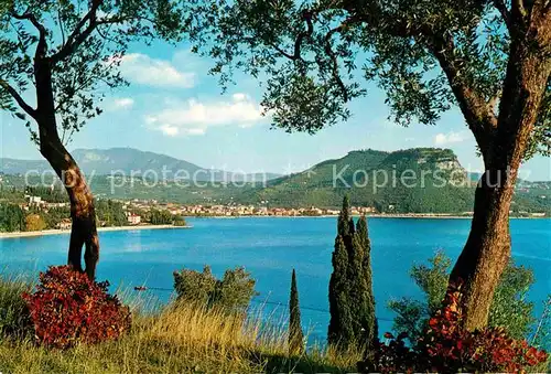 AK / Ansichtskarte Garda Panorama Kat. Lago di Garda 