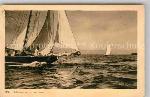 AK / Ansichtskarte Segelboote Chaloupe Lac Leman  Kat. Schiffe