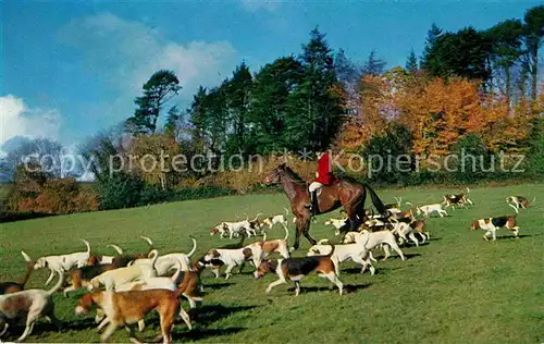 AK / Ansichtskarte Reitsport Pferdesport Pferderennen Jagdreiten Parforcejagd Jagdhunde Kat. Sport