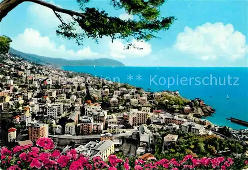AK / Ansichtskarte Nervi Panorama verso Portofino