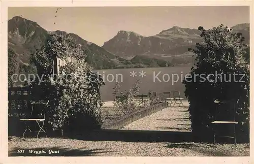 AK / Ansichtskarte Weggis Vierwaldstaettersee Quai Alpen