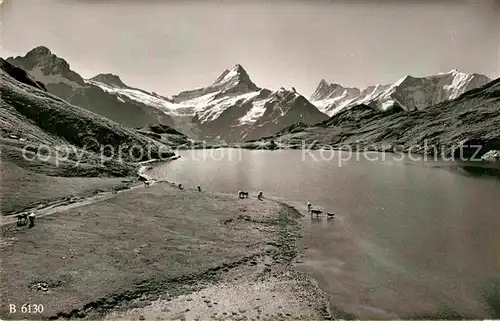 AK / Ansichtskarte Grindelwald Bachsee mit Berglistock Scheckhorn Finsteraarhorn Fiescherhoerner Bergsee Berner Alpen Kat. Grindelwald