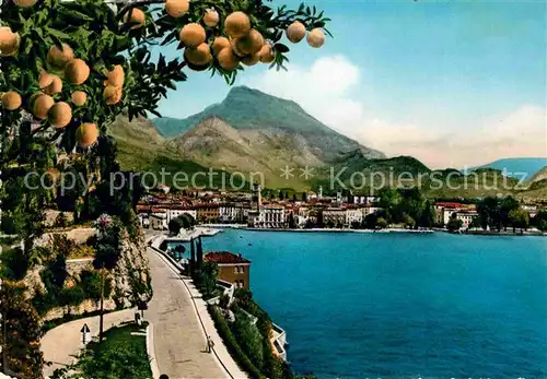 AK / Ansichtskarte Riva del Garda Uferstrasse Gardasee Suedfruechte Kat. 