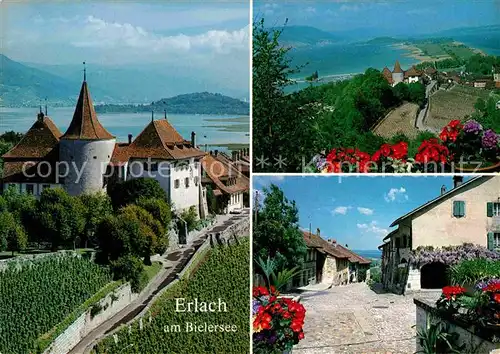AK / Ansichtskarte Erlach BE Dorfpartien Blick zum Bielersee Kat. Erlach Cerlier
