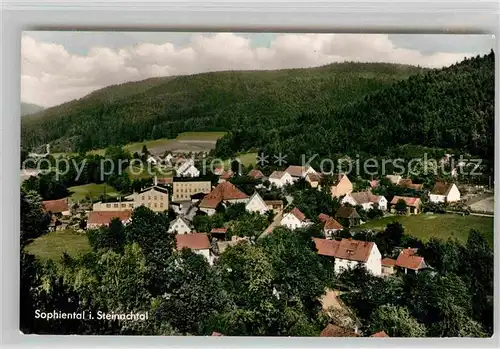 AK / Ansichtskarte Sophienthal Oberfranken Gesamtansicht  Kat. Weidenberg