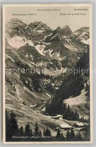 AK / Ansichtskarte Einoedsbach Panorama  Kat. Oberstdorf