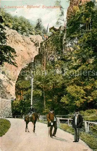 AK / Ansichtskarte Hoellental Schwarzwald Hirschsprung Kat. Buchenbach