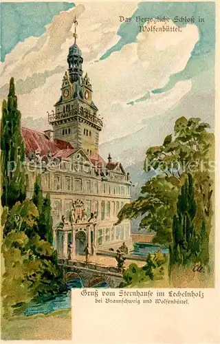 AK / Ansichtskarte Wolfenbuettel Herzogl. Schloss Kuenstlerkarte  Kat. Wolfenbuettel