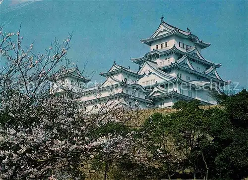 AK / Ansichtskarte Himeji Shirasagi Castle Schloss Kat. Himeji