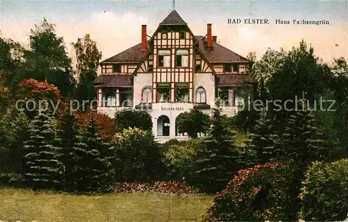 AK / Ansichtskarte Bad Elster Haus Sachesngruen Kat. Bad Elster