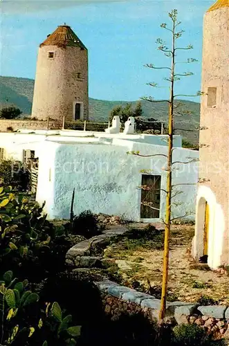 AK / Ansichtskarte Ibiza Islas Baleares Puig des Molins detalle Kat. Ibiza