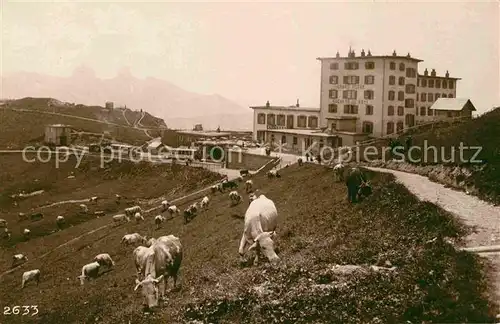 AK / Ansichtskarte Rochers de Naye Grand Hotel Kat. Rochers de Naye