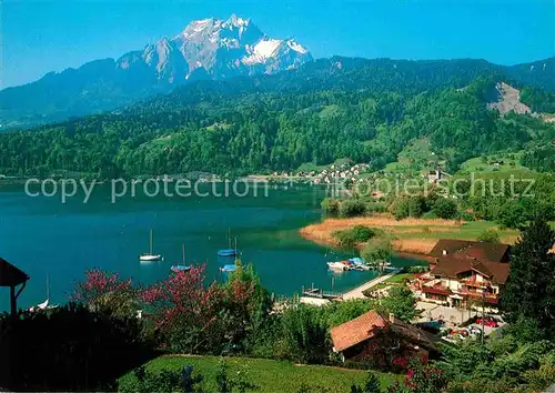 AK / Ansichtskarte Horw Seehotel Sternen am Vierwaldstaettersee Alpenblick Kat. Horw