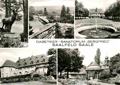 AK / Ansichtskarte Saalfeld Saale Diabetiker Sanatorium Bergfried Kat. Saalfeld