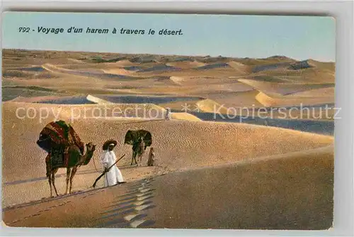 AK / Ansichtskarte Kamele Voyage d un Harem Desert  Kat. Tiere