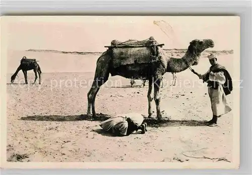 AK / Ansichtskarte Kamele Priere dans le Desert  Kat. Tiere