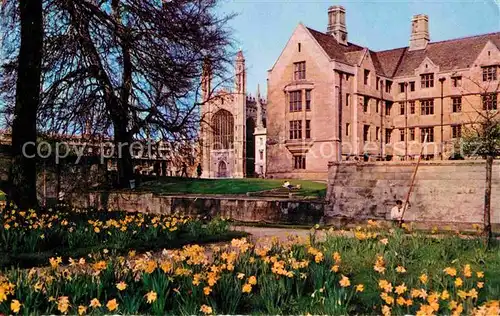 AK / Ansichtskarte Cambridge Cambridgeshire Daffodil Time