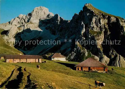 AK / Ansichtskarte Zweisimmen Alp Fromatt Spillgerten Berner Alpen Kat. Zweisimmen