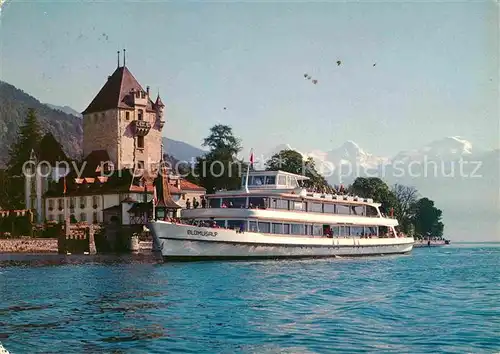 AK / Ansichtskarte Brienzersee BE Partie am See  Kat. Brienz