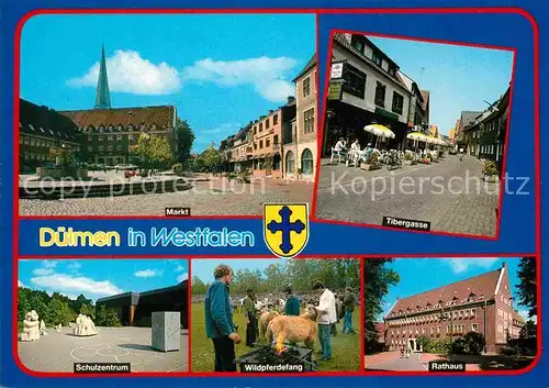 AK / Ansichtskarte Duelmen Markt Tibergasse Schulzentrum Wildpferdefang Rathaus Kat. Duelmen