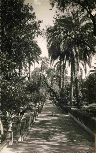 AK / Ansichtskarte Sevilla Andalucia Royal Palaces Gardens Kat. Sevilla 