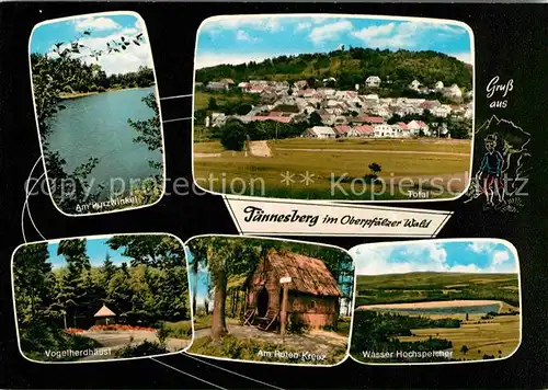 AK / Ansichtskarte Taennesberg Panorama Purzwinkel See Vogelherdhaeusl Rotes Kreuz Wasser Hochspeicher Kat. Taennesberg