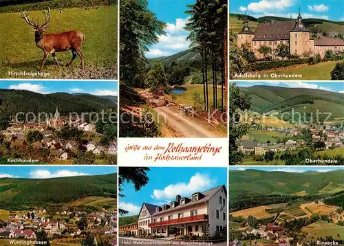 AK / Ansichtskarte Rinsecke Hirschfreigehege Rothaargebirge Kirchhundem Wuerdinghausen Waldpartie Adolfsburg Oberhundem Kat. Kirchhundem