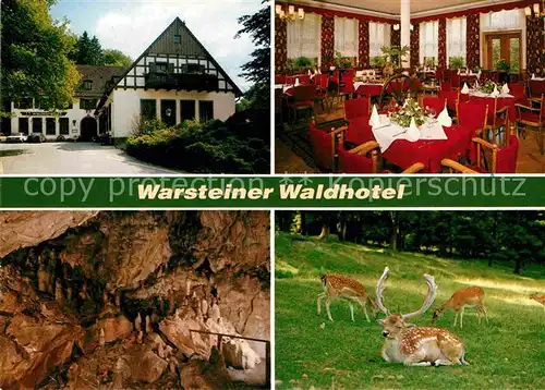 AK / Ansichtskarte Warstein Warsteiner Waldhotel Restaurant Tropfsteinhoehle Damwild Kat. Warstein
