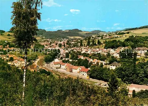 AK / Ansichtskarte Waldmichelbach Panorama Luftkurort Odenwald Kat. Wald Michelbach