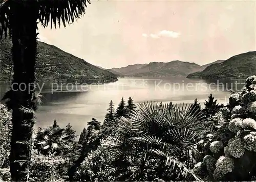 AK / Ansichtskarte Brissago TI Panorama Lago Maggiore Kat. Brissago