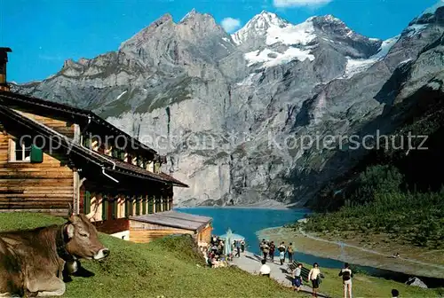 AK / Ansichtskarte Kandersteg BE Hotel Oeschinensee mit Bluemlisalpgruppe Berner Alpen Almvieh Kuh Kat. Kandersteg