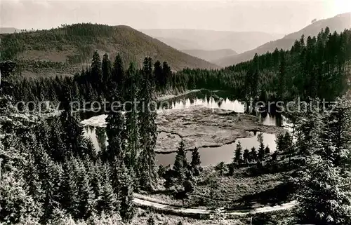 AK / Ansichtskarte Buhlbach Obertal Buhlbachsee