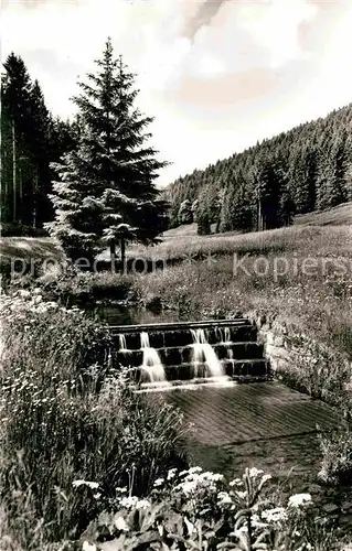 AK / Ansichtskarte Buhlbach Obertal Am Wege zum Buhlbachsee