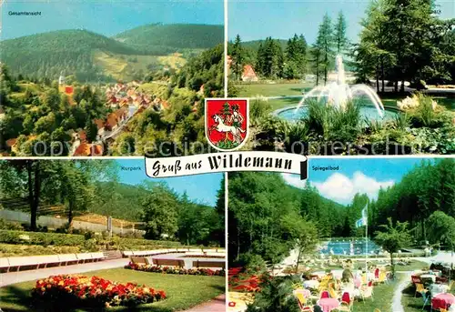 AK / Ansichtskarte Wildemann Gesamtansicht Fontaene Kurpark Spiegelbad Kat. Wildemann Harz