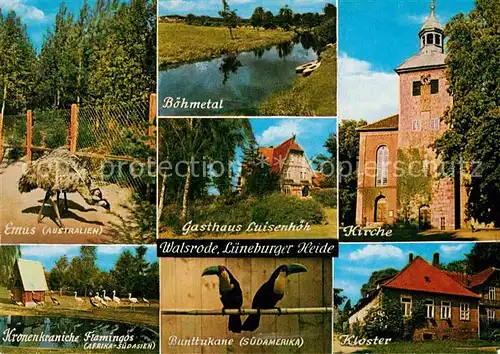 AK / Ansichtskarte Walsrode Lueneburger Heide Vogelpark Rieselbach Ziergefluegelfarm Kirche Kloster Gasthaus Kat. Walsrode