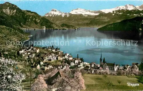 AK / Ansichtskarte Weggis Vierwaldstaettersee Panorama Blick ueber den See Alpen