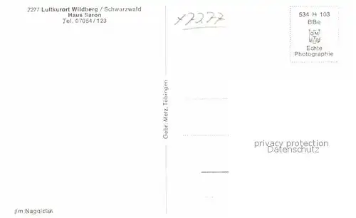 AK / Ansichtskarte Wildberg Schwarzwald Waldpartie Kat. Wildberg